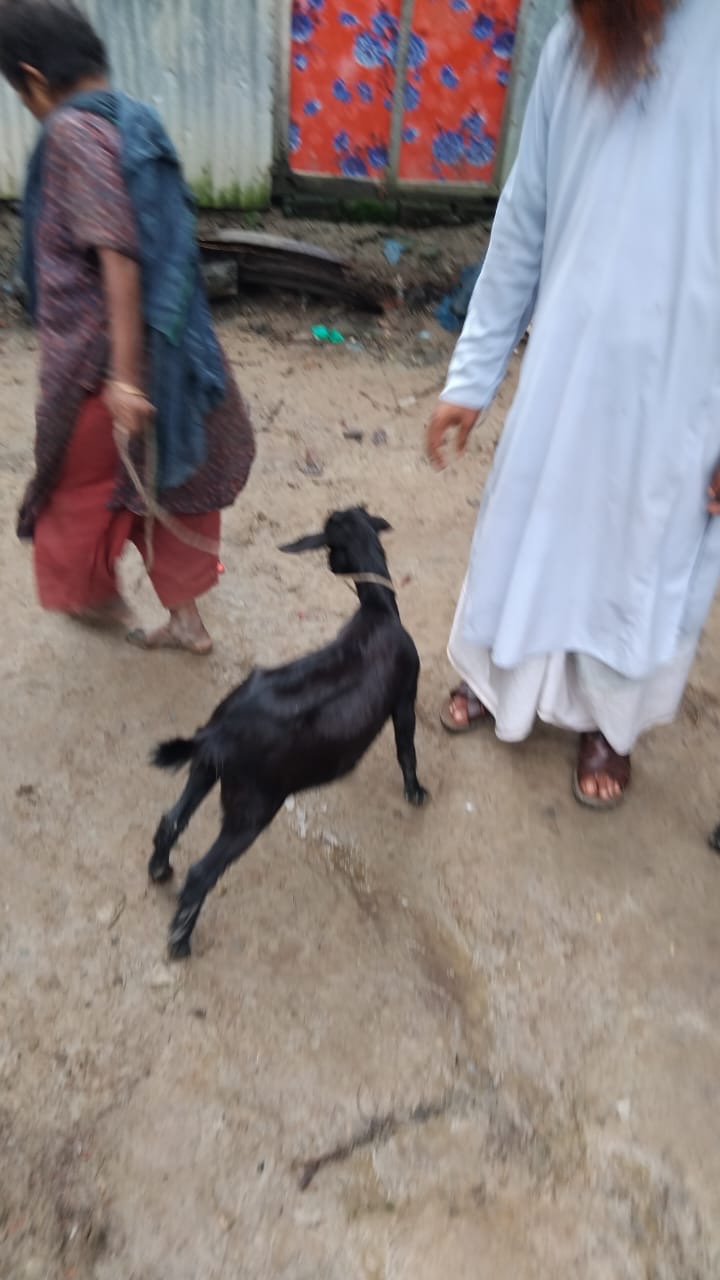 Emergency Response - 1