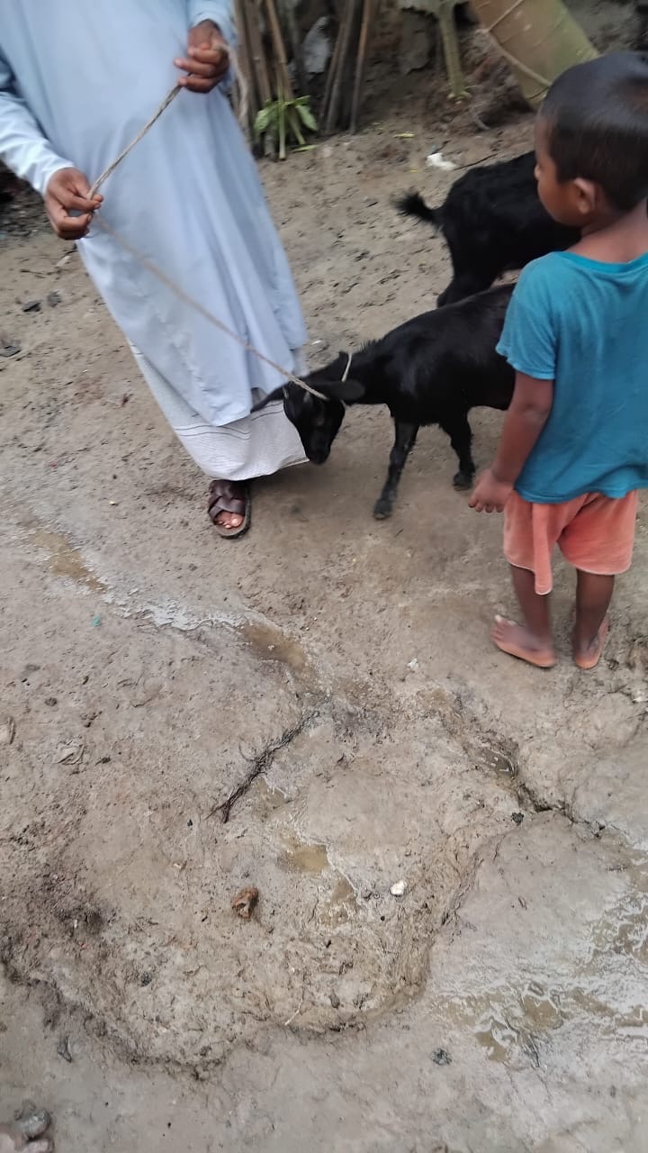 Emergency Response - 5