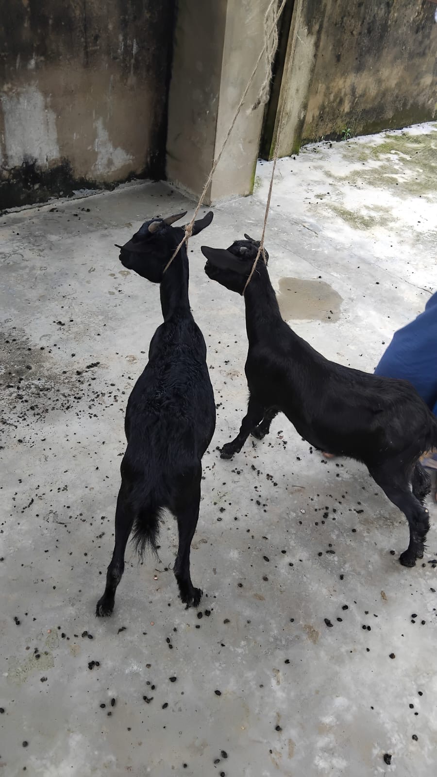 Emergency Response - 7