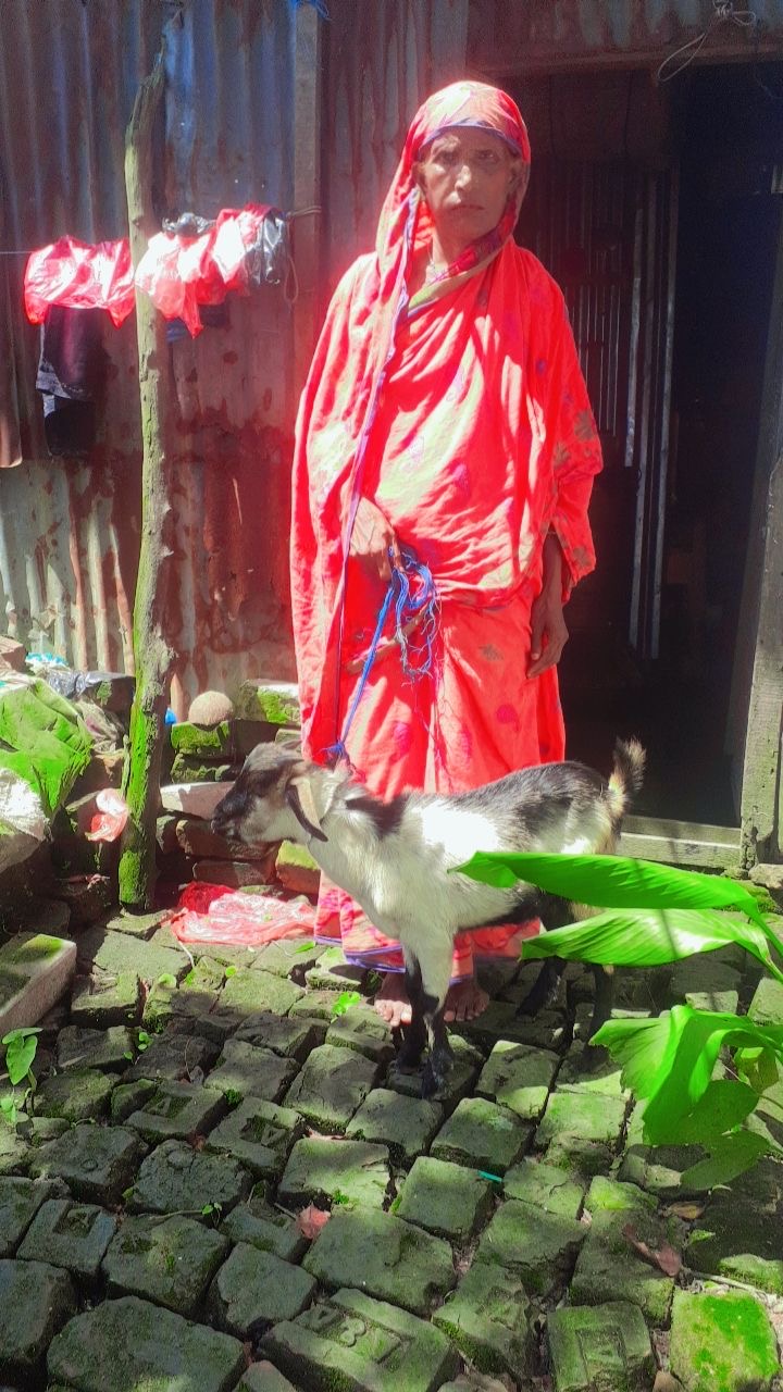 Emergency Response - 20