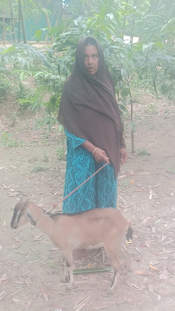 Emergency Response - 25