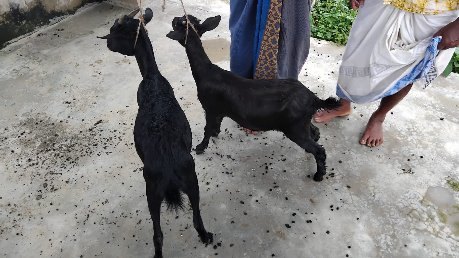 Emergency Response - 27