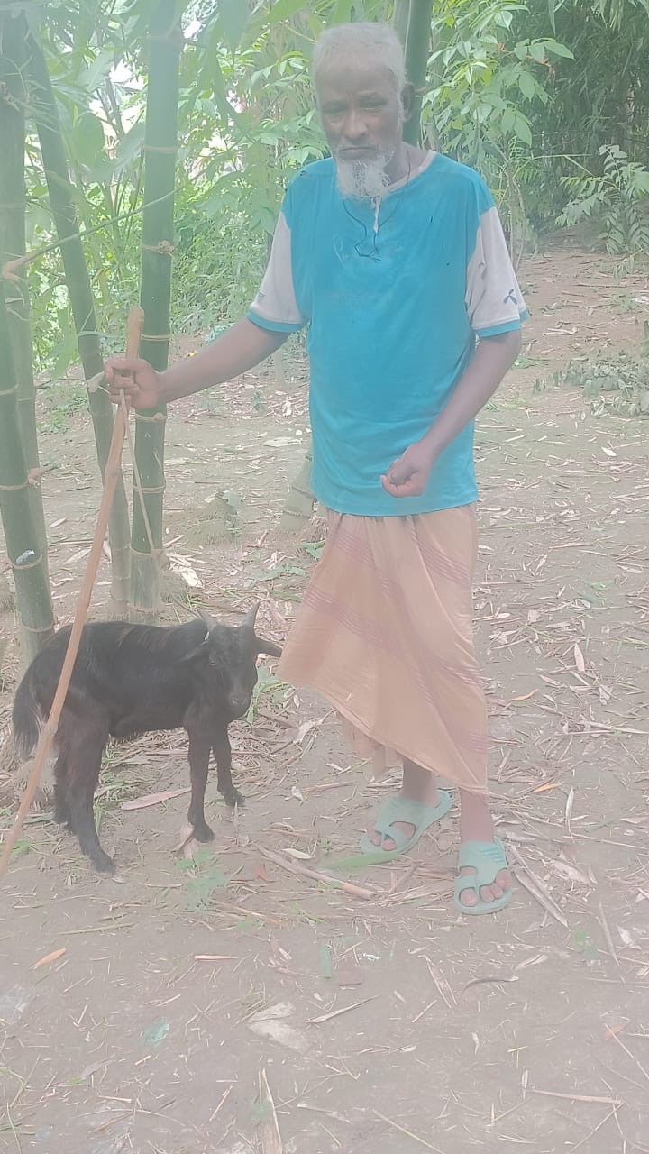 Emergency Response - 31