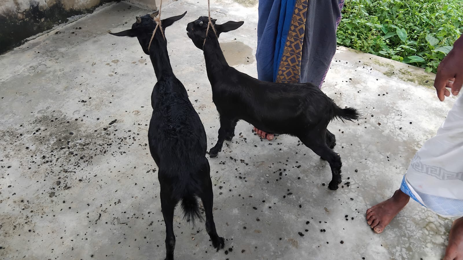 Social Welfare Activities - 28