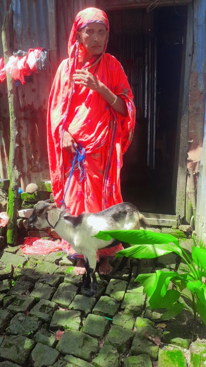 Social Welfare Activities - 30